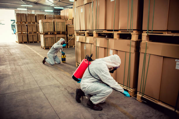 Best Wasp Removal Services  in Elkader, IA
