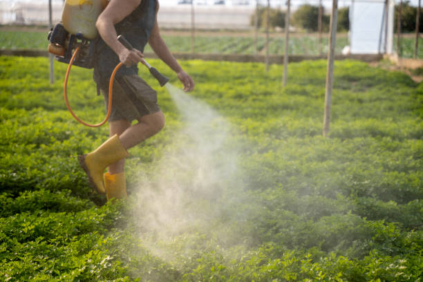 Best Pest Removal Services  in Elkader, IA