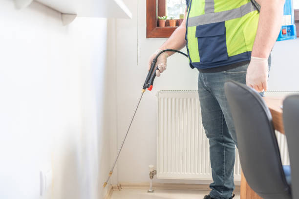 Best Wasp Removal Services  in Elkader, IA