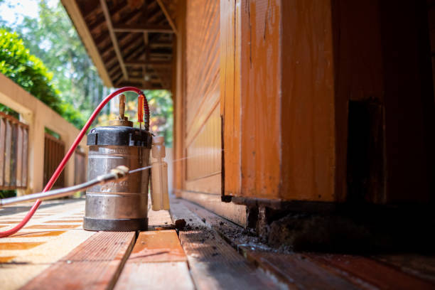 Best Pest Prevention Services  in Elkader, IA