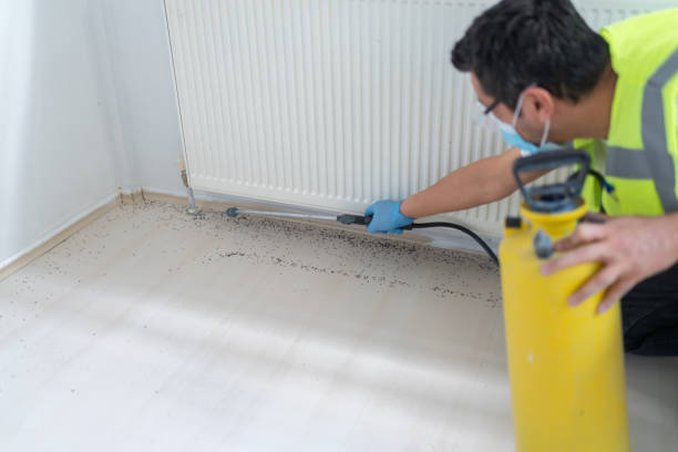 Best Ant Control Services  in Elkader, IA